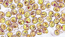 Image of "カラカラカラのカラ (Kara Kara Kara no Kara)"