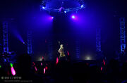 Luka performing "Luka Luka★Night Fever" live.