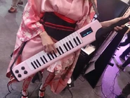 2015 Pink version (final design)