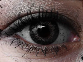 Image of "ごめんなさいを言えるかな (Gomennasai o Ieru kana)"