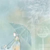 MR RAINDROP (album)