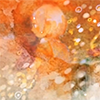 Drop icon.png