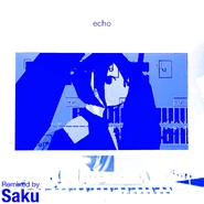 Cover art of the digital single remix echo [Saku Remix]