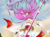 Kobushi Kiku