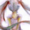 Tsugihagi Staccato.png