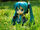 Nendoroid - Miku Hatsune.jpg