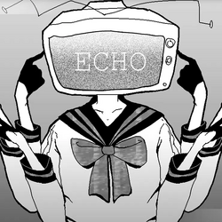 Echo music on sale
