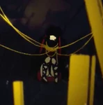 Azami as she appears in Outer Science