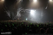 Miku performing "Melt".