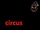 서커스 (Circus)