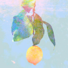 Lemon (Kenshi Yonezu) icon.png