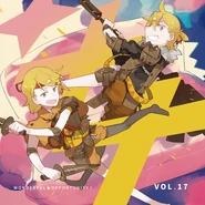 Wonderful★Opportunity! vol.17