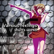 Various feelings ～shu-t’s works～