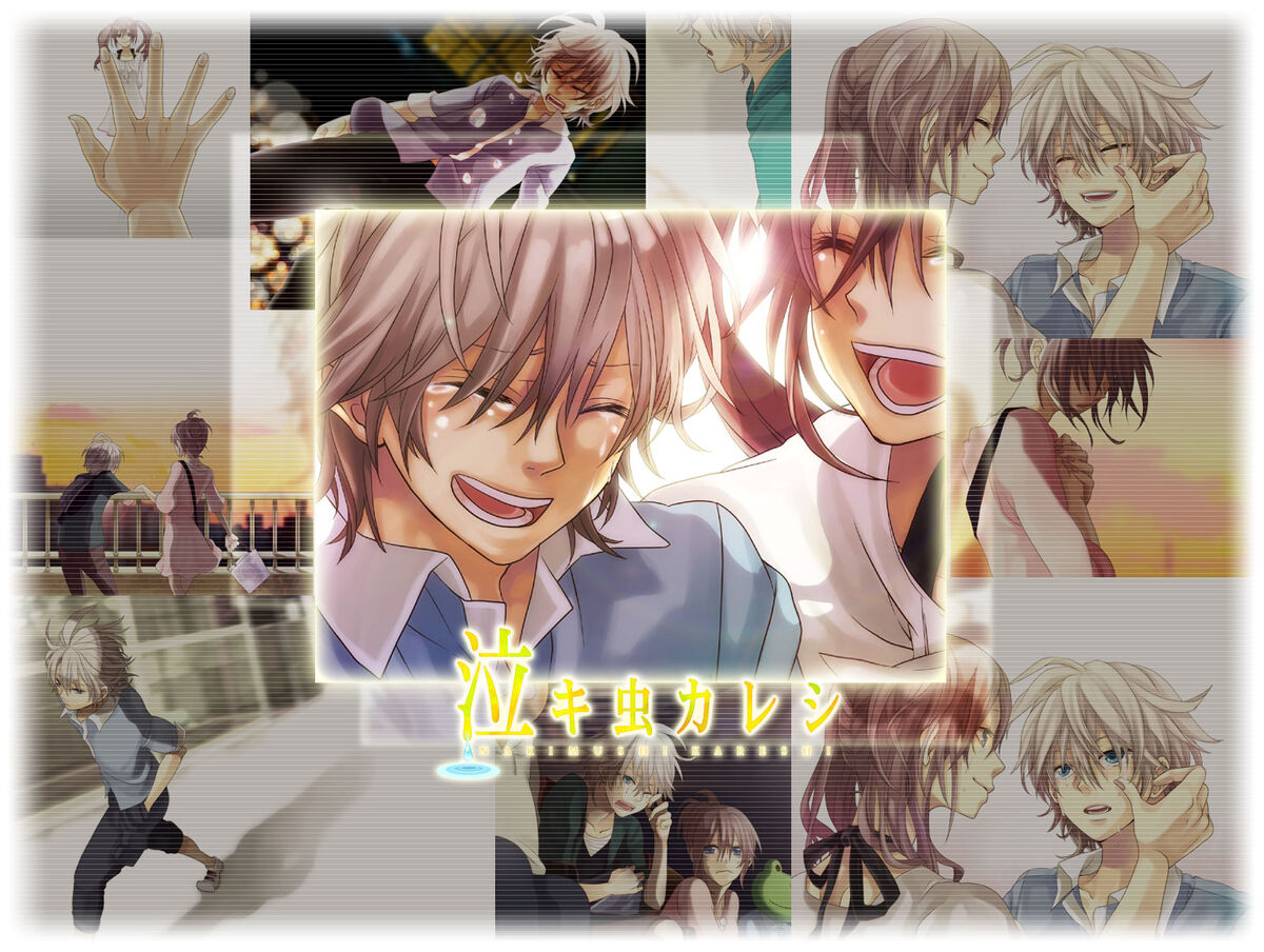 ※プロフ必読りぃこページ ❤︎꒰ঌ┈┈┈┈┈┈┈┈┈┈┈┈┈┈┈┈┈┈໒‬