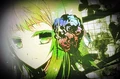 Need to Love