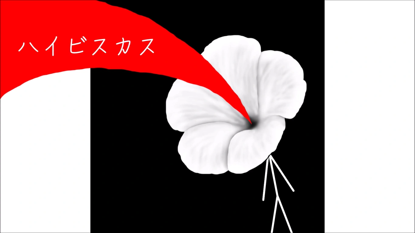ハイビスカス (Hibiscus) | Vocaloid Wiki | Fandom