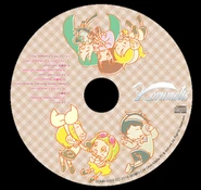 The CD art of korumelts.