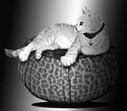 Mew's cat, Savami, as seen in demonstration song, "Effaninefable"