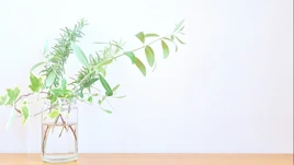 Image of "22世紀からのハロー (22 Seiki kara no Hello)"