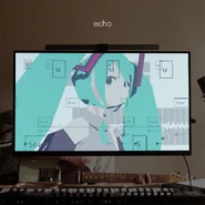 Cover art of the digital single echo