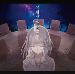 アルコルの改葬 Eight ぬゆり n-buna ボカロ CD アルコルの改葬】n-buna ぬゆり Eight ヨルシカ ナブナ 同人CD