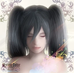 Image of "Vision Color"