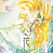 Hana album.jpg (64 KB) Hana