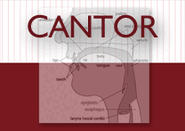 CANTOR