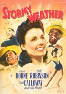 Stormy Weather poster.jpg (93 KB) A poster featuring Lena Horne; the movie posters are where her boxart image comes