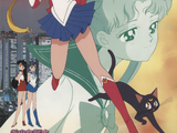 美少女戰士/電視動畫