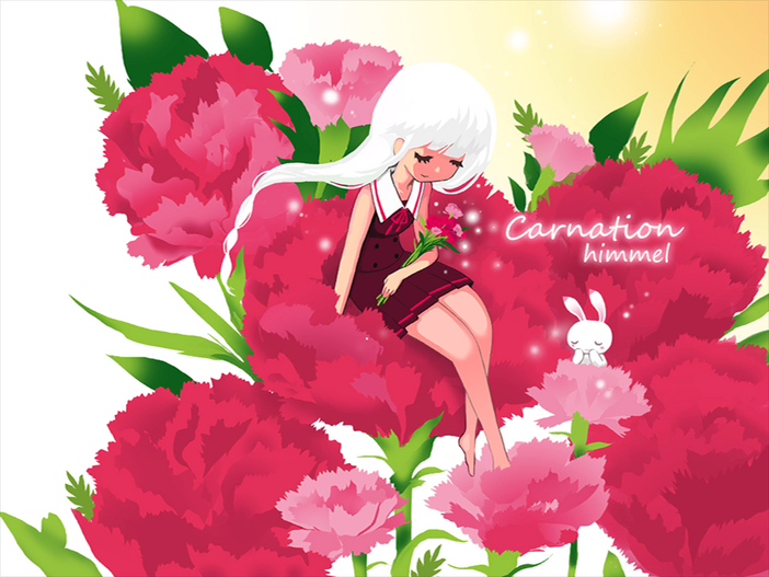 Carnation