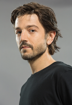 Diego Luna | Voice Actors from the world Wikia | Fandom