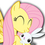 Fluttershy MLPFIM