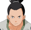 Shikamaru Nara