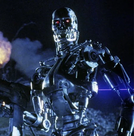 Endoskeleton 