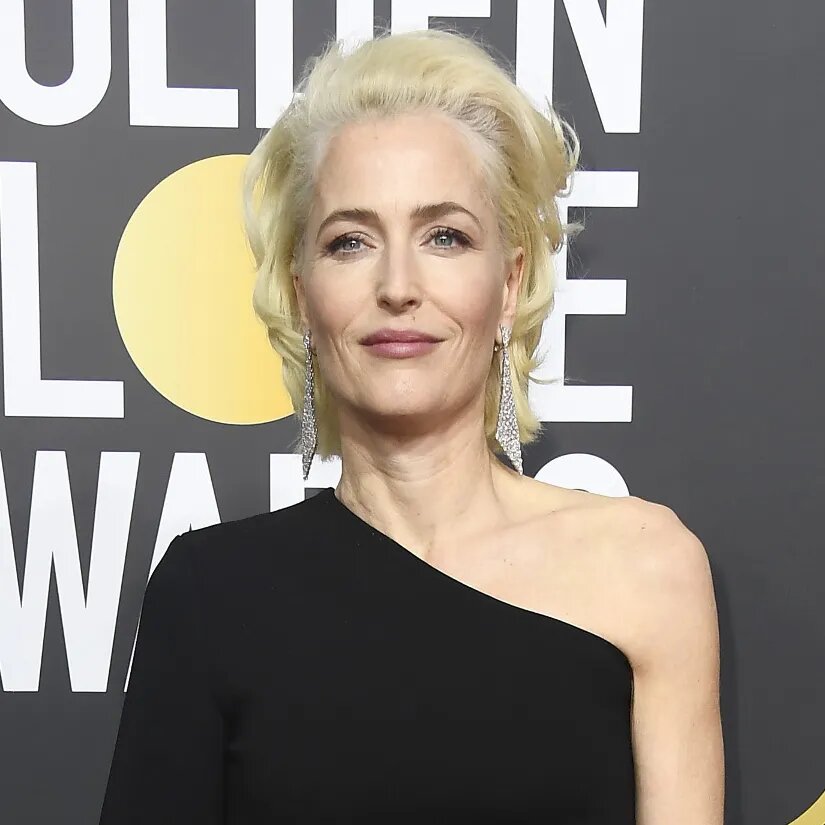 Gillian Anderson Voice over and voice acting Wiki Fandom