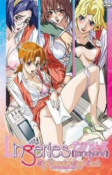 Lingeries Office 2003 DVD Cover.jpg