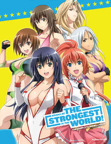 Wanna Be the Strongest in the World 2013 DVD Cover.jpg