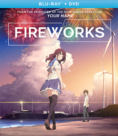 Fireworks 2017 Blu-Ray DVD Cover.png