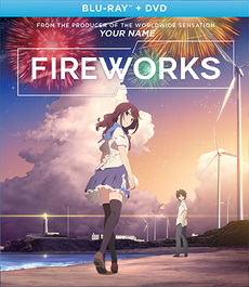 Fireworks 2017 Blu-Ray DVD Cover