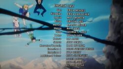 Hunter x Hunter, Dubbing Wikia