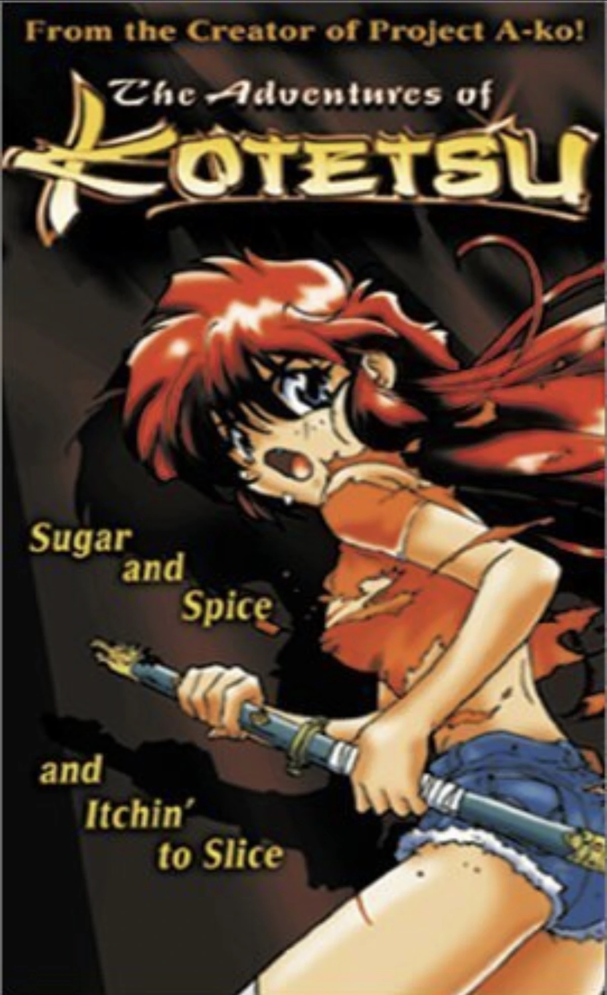 The Adventures of Kotetsu | Anime Voice-Over Wiki | Fandom