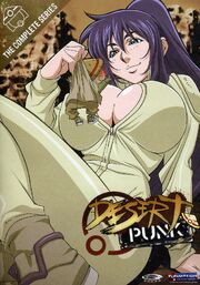Desert Punk DVD Cover.jpg