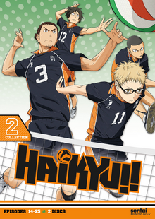 Haikyu 2015 DVD Cover