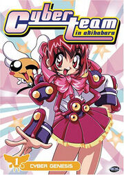 Cyberteam in Akihabara 1998 DVD Cover