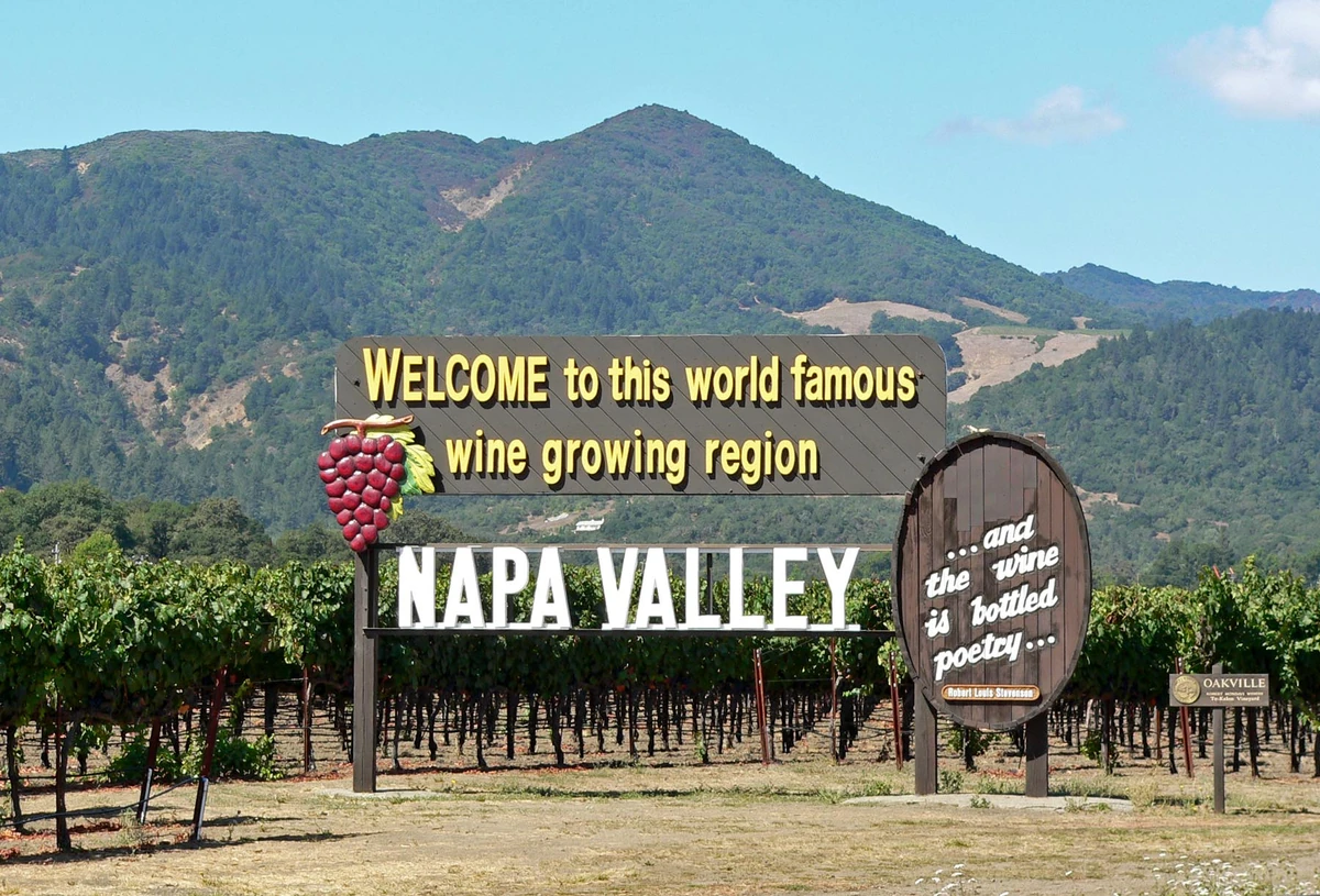 Napa County, California Voice Actors, Places, Media and More Wiki