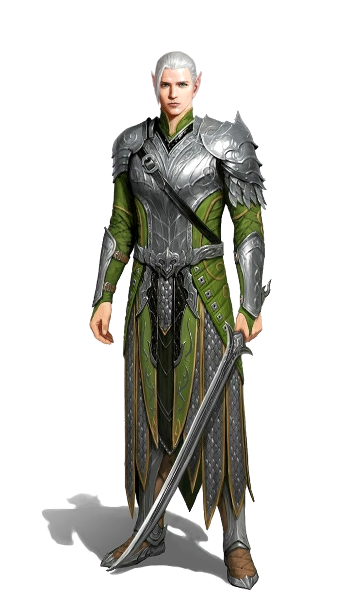 male elven fighter