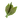 Tea Leaves