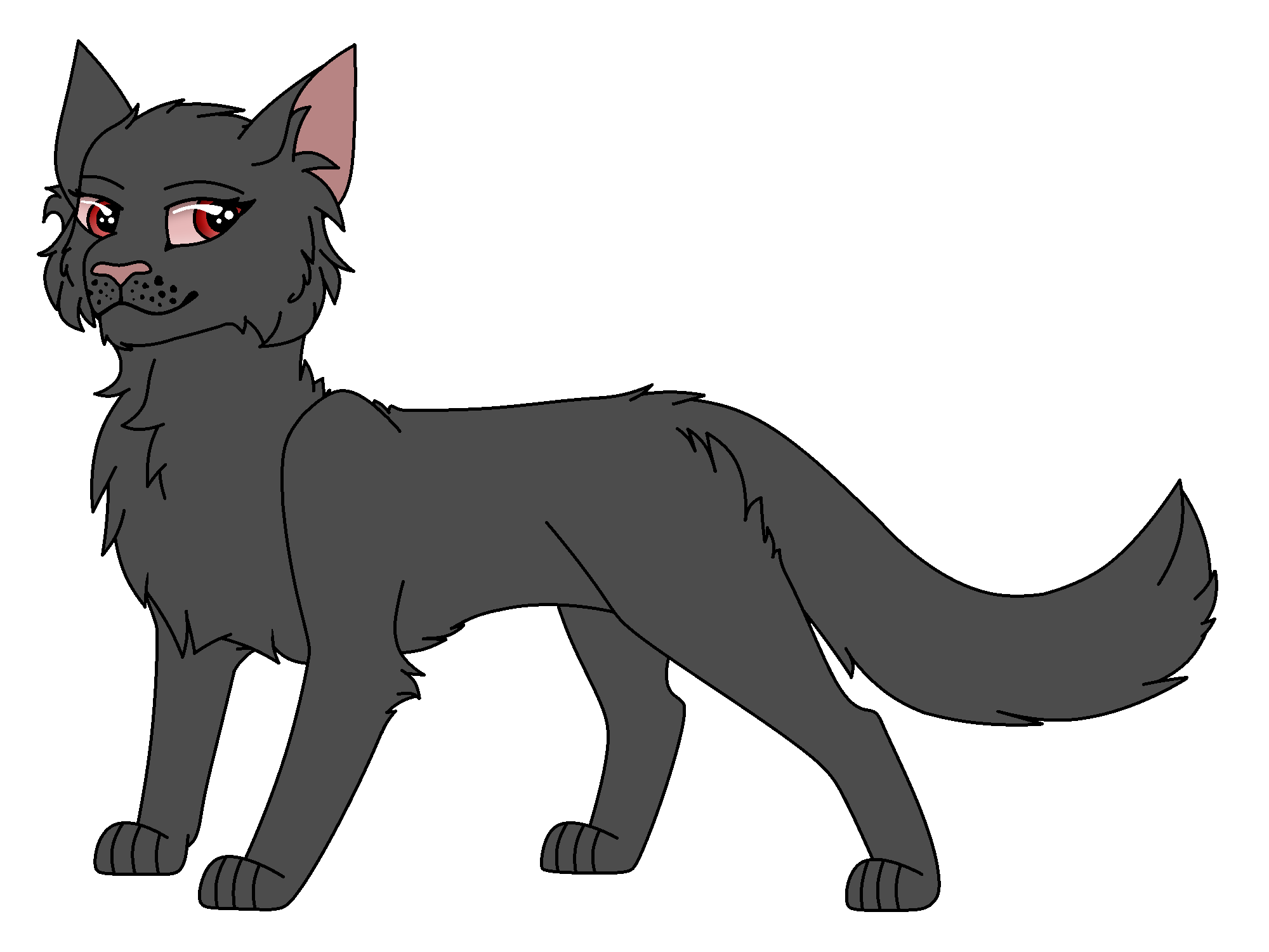 Терновник коты воители