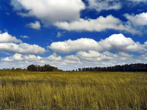 Cumulus de beau temps2